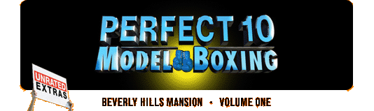 Perfect 10 Model Boxing